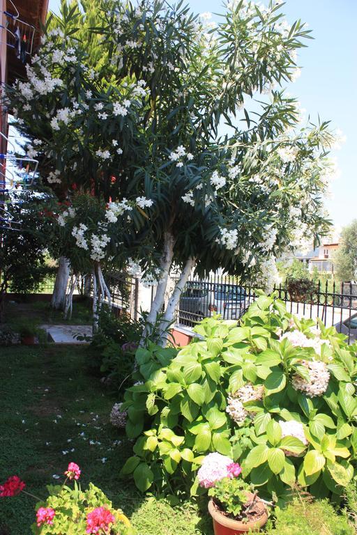 Sunray Studios Appartement *